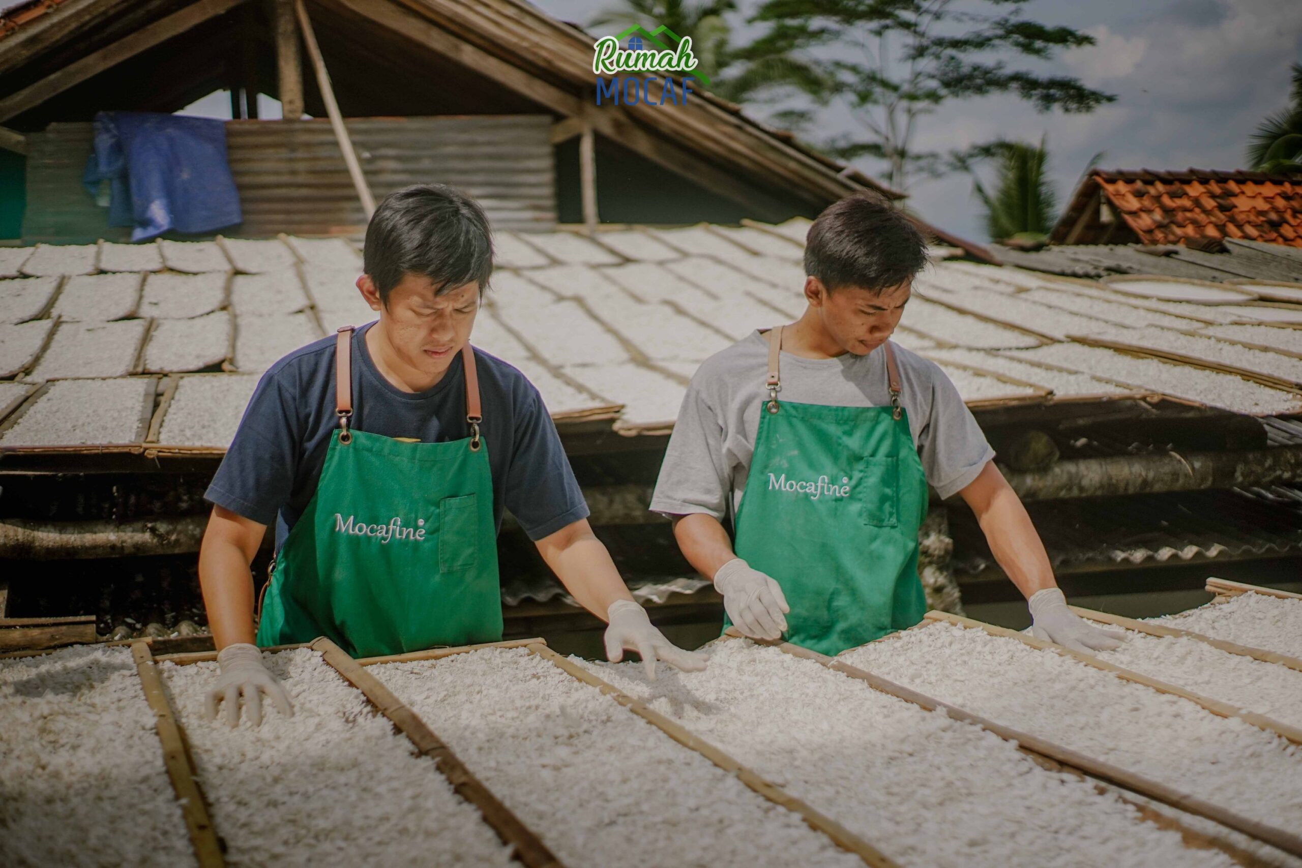 Membangun Kedaulatan Pangan dengan Mocaf – Republika.co.id
