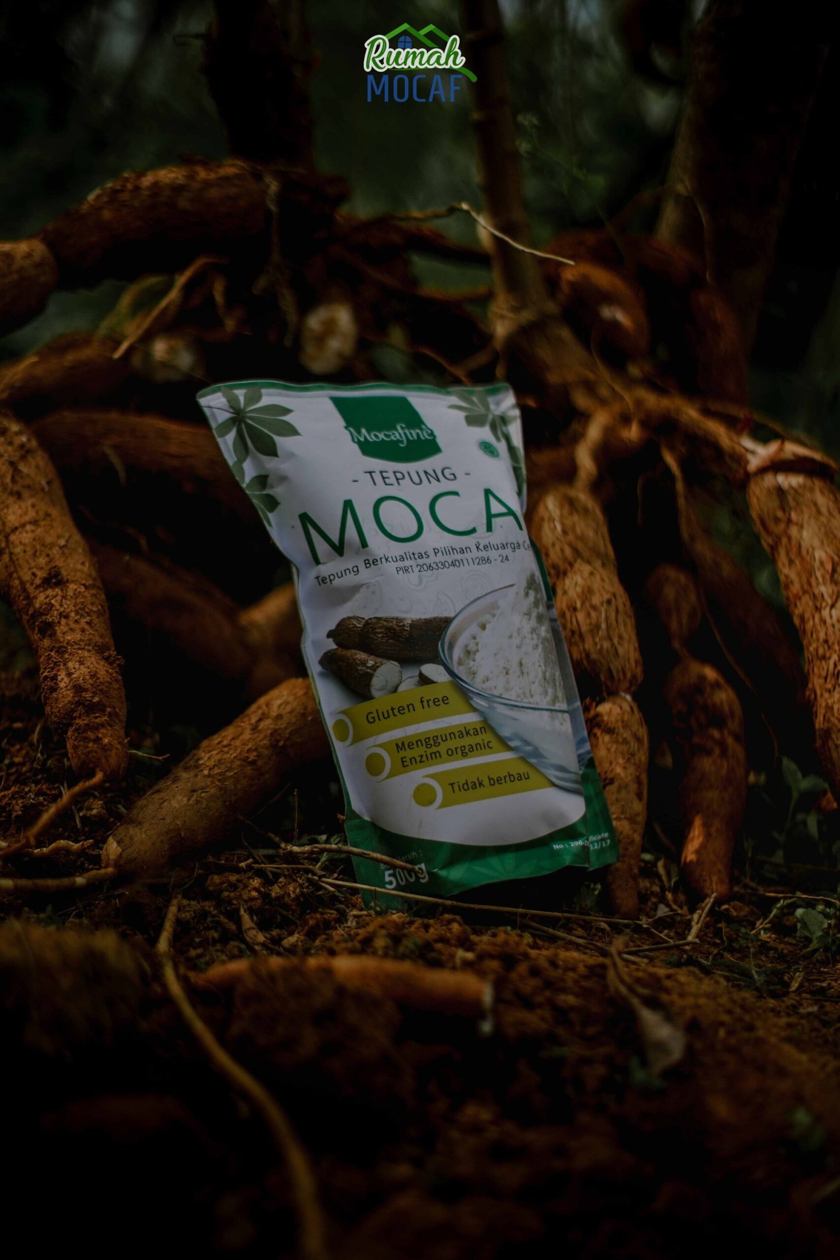 Produk Mocaf Banjarnegara Ini Siap Diekspor – Gatra.com