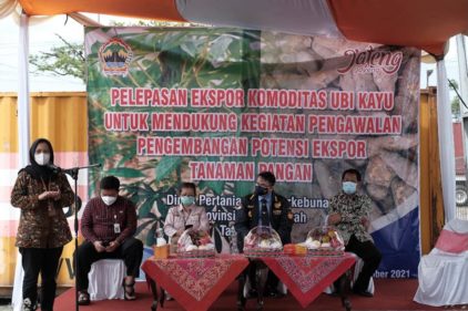 ekspor perdana mocaf, tepung mocaf, rumah mocaf indonesia